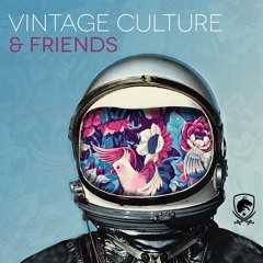 Vintage Culture & WOO2TECH - Sometimes (Shapeless Rmx)