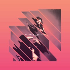 MOSAICS - Freedom (VIZO REMIX) [TMN Remix Comp Winner]