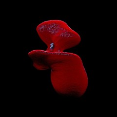 Re Silence - Speak