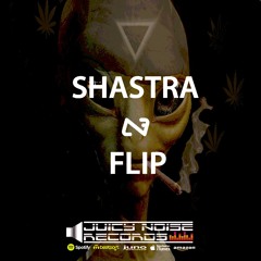 VIMANA SHASTRA & LICK N FLIP  - SHASTRA N FLIP (Juicy Noise Records) OUT NOW!!!