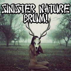 BRUM! - Sinister Nature [180]