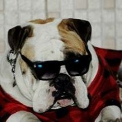 MENDEZz (Br)  - Boris Like Techno House