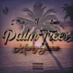 Shawn Muzic x Rambo - PalmTrees MaryJane ( Official Audio )