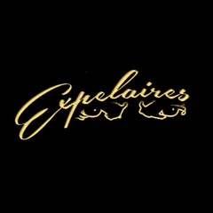 Respect Live Middlesborough