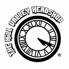 The Hill Valley Headshop ~ G Major Meditation