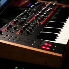DSI Pro 2