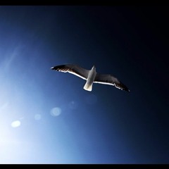 Cezzal - Fly Away (Dub Mix)