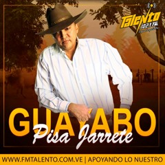 JORGE GUERRERO - GUAYABO PISA JARRETE  (2016)