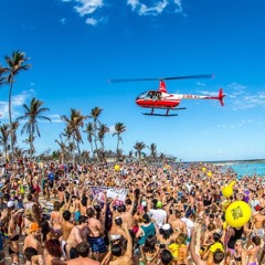 DJ ANT DJ DOLLAZ SUMMER VYBZ