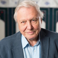 Sir David Attenborough Voice Impersonation - by Guy Harris
