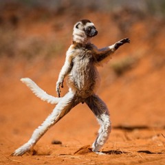 this one lowkey hard prod by. (yungteej&DOKO)