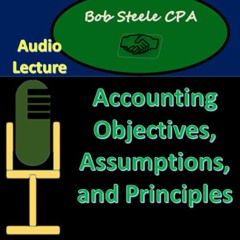 100.10 - Accounting Objectives, Assumptions, And Principles