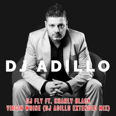 DJ Fly ft. Charly Black - Virgin Whine (DJ ADILLO Extended Mix)