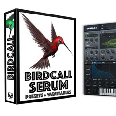 Birdcall Serum Presets & Bird Wavetables Pack