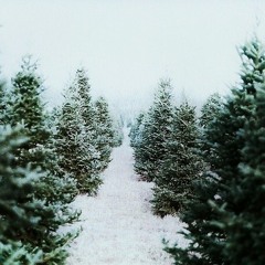 Evergreen (cover)