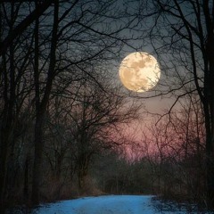 Angels On The Moon - Patrick Poulin & Stéphanie Joly - Cover