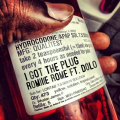Plug