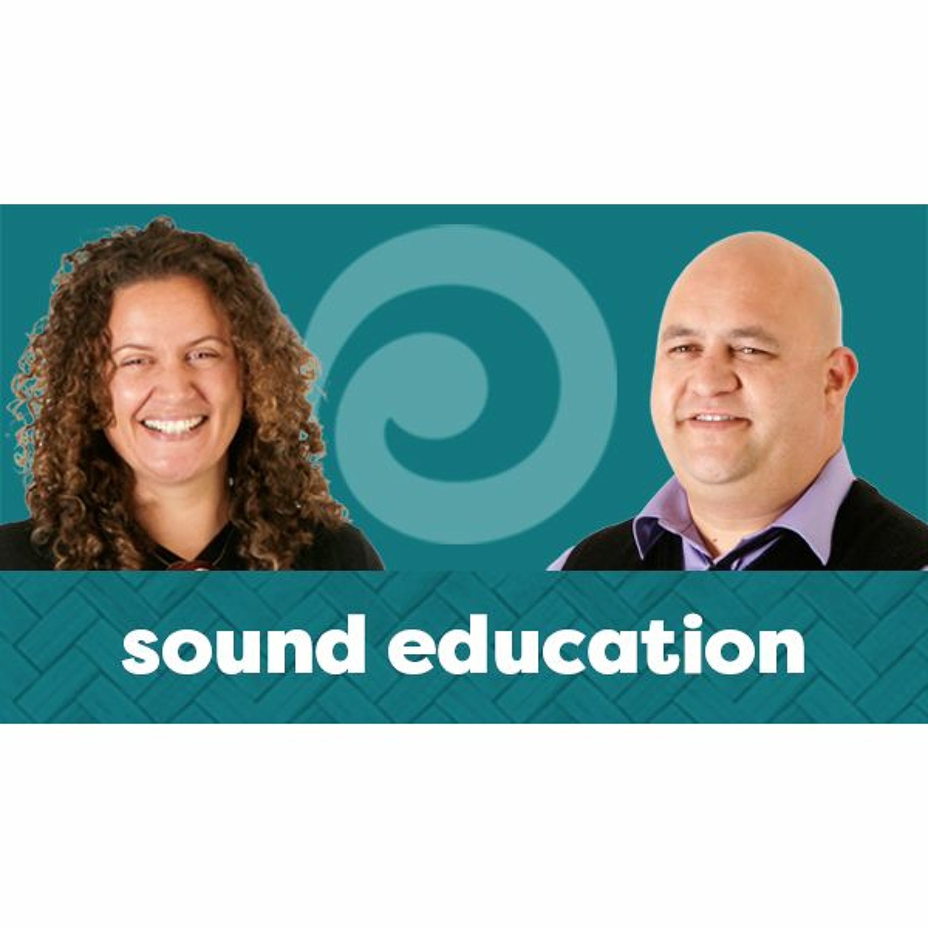Robust programmes in language learning episode artwork