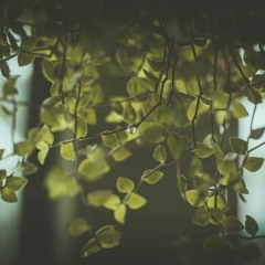 Ở trọ - Trịnh Công Sơn