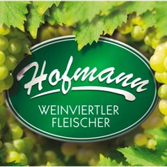 Hold Music 1 (Fleischerei Hofmann, GmbH)