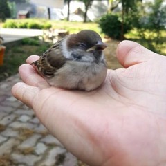 그 때, 그 시절 - 아구몬(Ft. Unvoice)