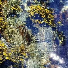 song-a-day song Clear Reminders July 16, 2016