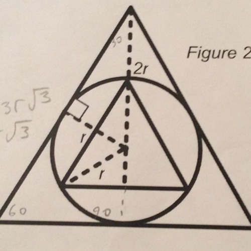 HANG ON TO YOUR IQ with Tophonicus (Placebo)