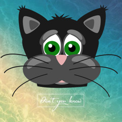 Kungs Feat. Jamie N Commons - Do You Know - Front Branded Intro ~ The Cat Radio