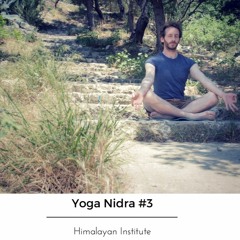 Yoga Nidra avec Philippe #3 (Himalayan Institute)
