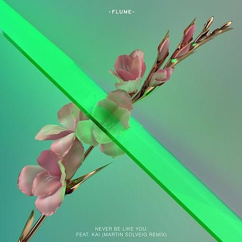 Flume Never Be Like You (Martin Solveig remix)