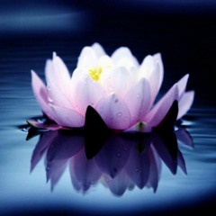Chill Out Ambient