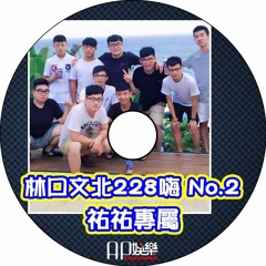 Ap娛樂 - 林口文北228嗨 NO.2（祐祐專屬）