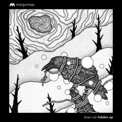 Premiere: Brian Cid - Hidden (Nico Stojan Remix)[Manjumasi]