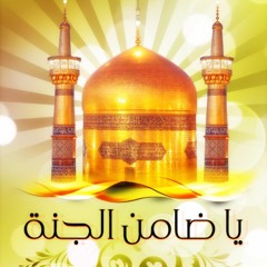 طيري ياطيارة  لـ الرضا ودياره.. الرادود صلاح الرمضان