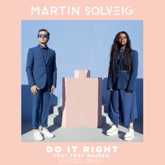Martin Solveig - Do It Right (Da Fokin Summervibe Remix)