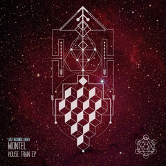 Montel - House Train - Lost Records - LR043 - OUT NOW