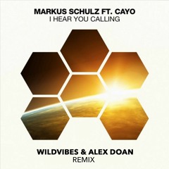 Markus Schulz - I Hear You Calling (WildVibes & Alex Doan Remix)