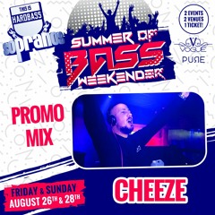 DJ Cheeze - Sopranos #Back2TheOldskool Promo Mix
