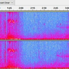 Proyecto Musisonología: Paisaje Sonoro: Parque Urbano y Terminal de Buses de Valdivia.