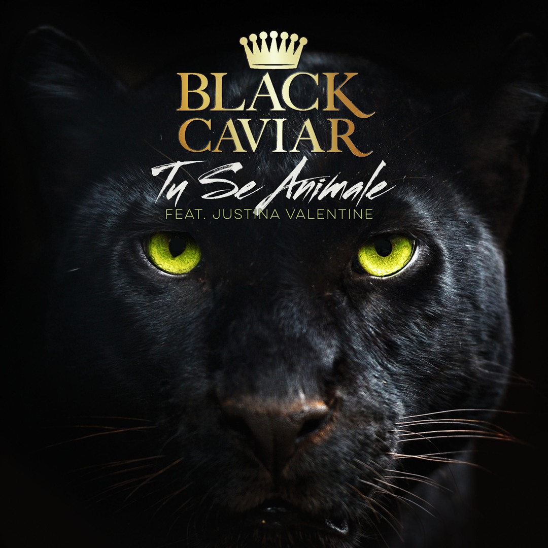 Stream Tu Se Animale (feat. Justina Valentine) by Black Caviar | Listen  online for free on SoundCloud