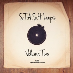 STASH Loops Volume 2 DEMO