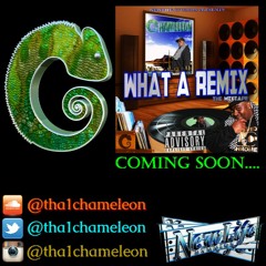 WHAT A REMIX - (UnMixed Version) - Tha Chameleon