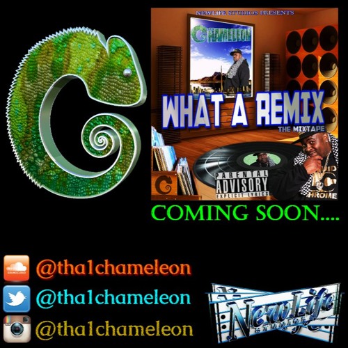 WHAT A REMIX - (UnMixed Version) - Tha Chameleon