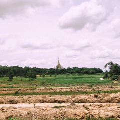 Miền Cỏ Xanh-Deep Blue Sea