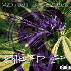 Phat Boy X Das Labor - Paff Paff Das Hash