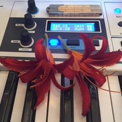 The Rise and Fall of Civilizations   [PLEXUS HAS MOVED TO BANDCAMP: PLEXUS.BANDCAMP.COM]