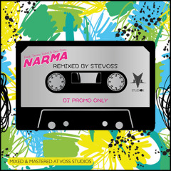 Narma (Desi Crew) - Stevoss Remix