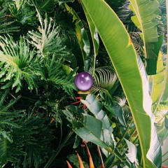 801am (Prod. Da Most Infamou$)