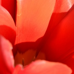 KO Electric Live at Nectar