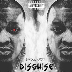 Disguise - Powndz
